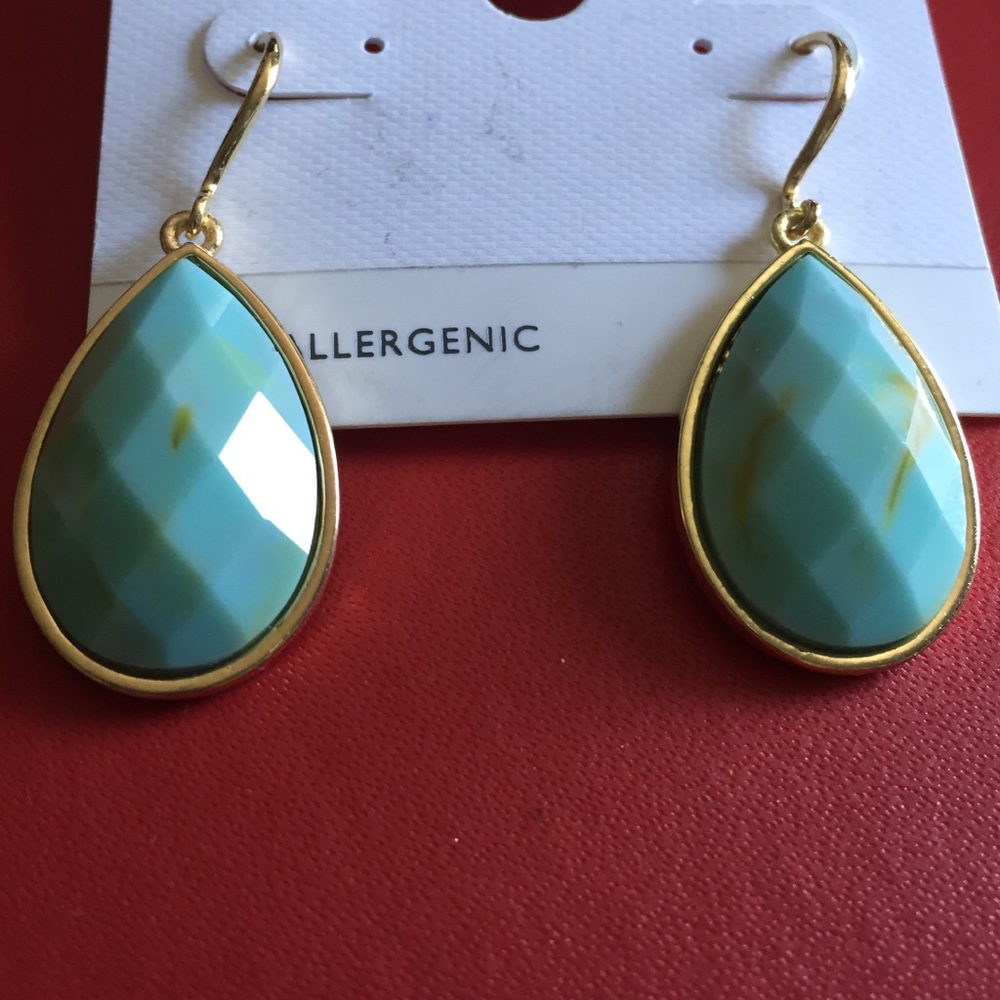 Fashion Earrings